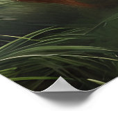 Activiteiten in de omgeving van Forest Princess Fa Poster (Hoek)