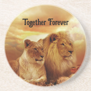 Activiteiten in de omgeving van Forever Lions Sand Zandsteen Onderzetter