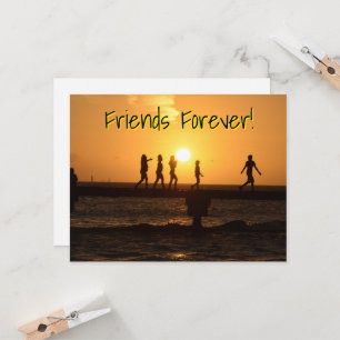 Activiteiten in de omgeving van Forever on Key Wes
