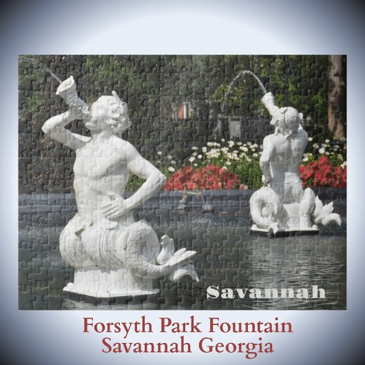 Activiteiten in de omgeving van Forsyth Park Fount Legpuzzel