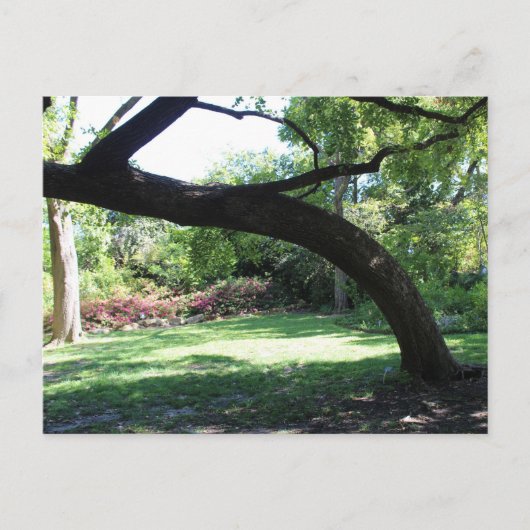 Activiteiten in de omgeving van Fort Worth Garden Briefkaart (Voorkant)