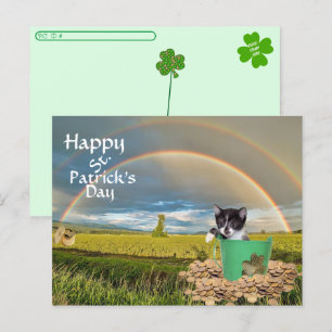 Activiteiten in de omgeving van Foxi Moxi Cat's St Briefkaart