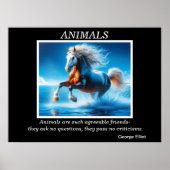 Activiteiten in de omgeving van Freedom's Ocean Ri Poster (Voorkant)