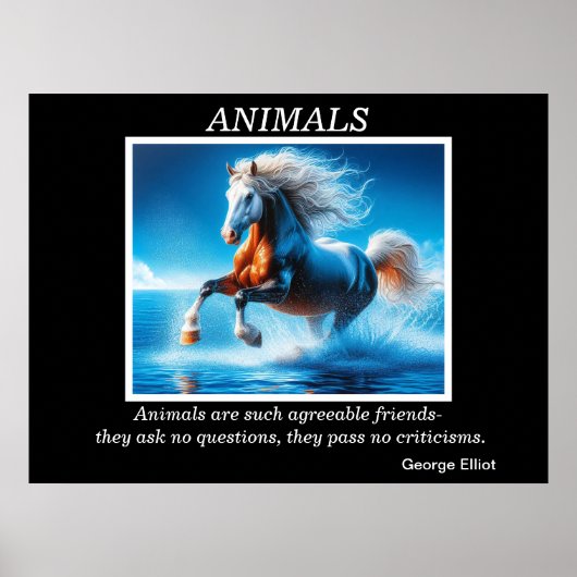 Activiteiten in de omgeving van Freedom's Ocean Ri Poster (Voorkant)