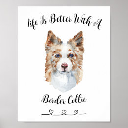 Activiteiten in de omgeving van Fun Border Collie  Poster