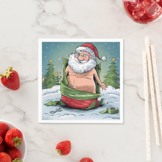 Activiteiten in de omgeving van Funny Dirty Santa Servet (Insitu)