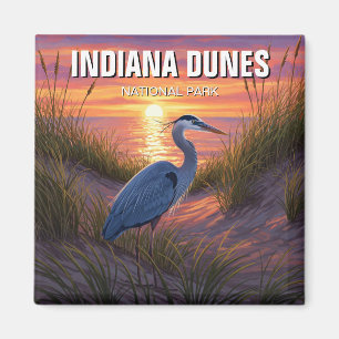 Activiteiten in de omgeving van Indiana Dunes Nati Magneet