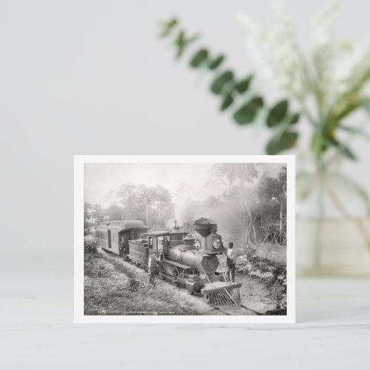 Activiteiten in de omgeving van Jupiter and Lake W Briefkaart (Staand voorkant)