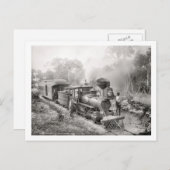 Activiteiten in de omgeving van Jupiter and Lake W Briefkaart (Voorkant / Achterkant)