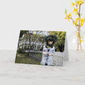 Activiteiten in de omgeving van Kellum Noble Home, Kaart (Gele Bloem)