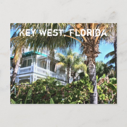 Activiteiten in de omgeving van Key West Florida S Briefkaart (Voorkant)