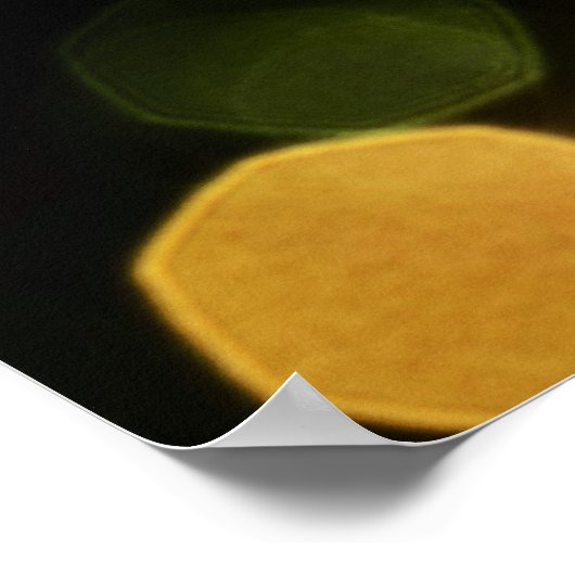 Activiteiten in de omgeving van Lights of Paris, E Poster (Hoek)