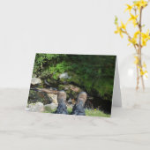 Activiteiten in de omgeving van Linhope Spout, Ing Kaart (Gele Bloem)