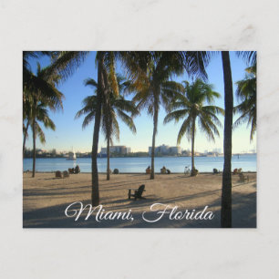 Activiteiten in de omgeving van Miami Beach Florid Briefkaart