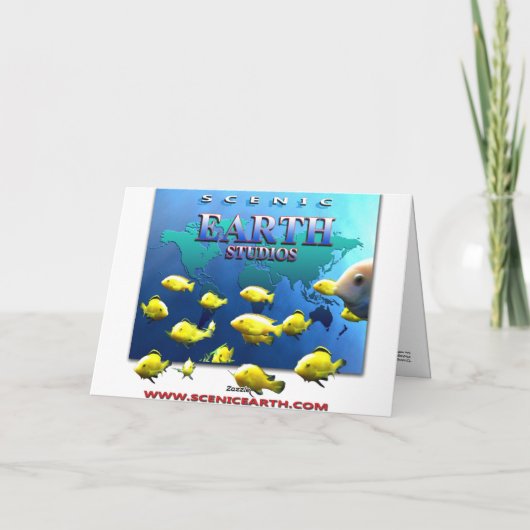 Activiteiten in de omgeving van Miss Daisy Parrotl Kaart (Achterkant)