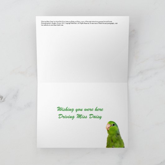 Activiteiten in de omgeving van Miss Daisy Parrotl Kaart (Binnen)