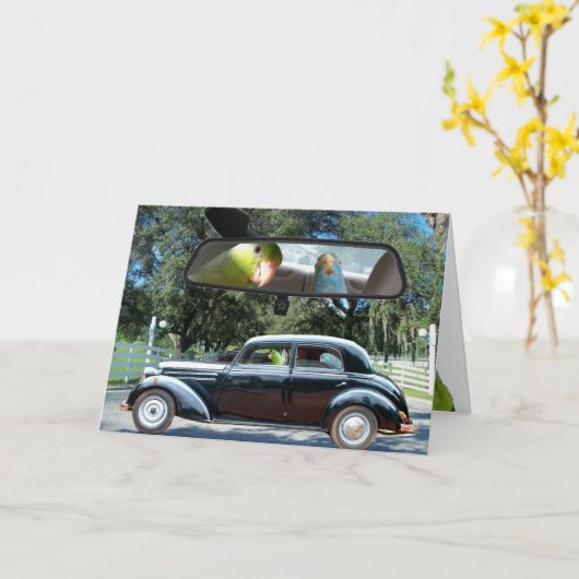 Activiteiten in de omgeving van Miss Daisy Parrotl Kaart (Gele Bloem)