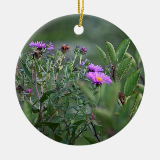 Activiteiten in de omgeving van New England Aster Keramisch Ornament (Voorkant)