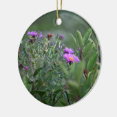 Activiteiten in de omgeving van New England Aster Keramisch Ornament (Links)