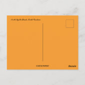 Activiteiten in de omgeving van North Myrtle Beach Briefkaart (Achterkant)