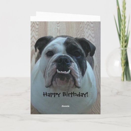 Activiteiten in de omgeving van Over the Hill Engl Kaart (Achterkant)