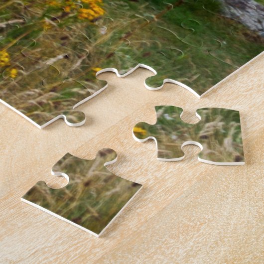 Activiteiten in de omgeving van Perranporth Beach Legpuzzel (Zijkant)