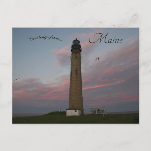 Activiteiten in de omgeving van Petit Manan Light  Briefkaart (Voorkant)