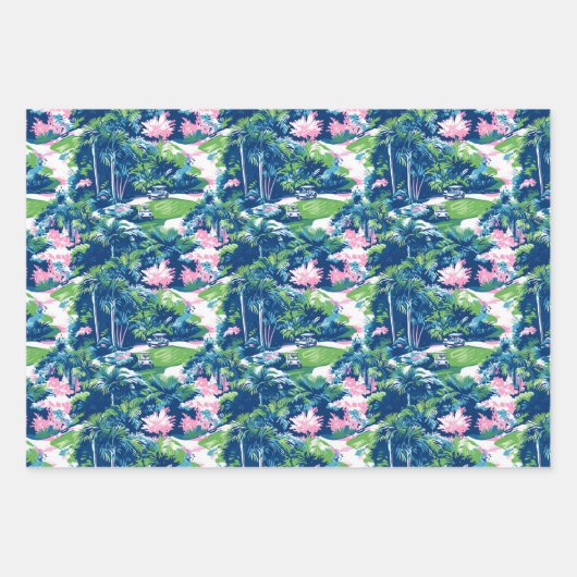 Activiteiten in de omgeving van Preppy Palm Beach Inpakpapier Vel (Voorkant)