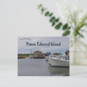 Activiteiten in de omgeving van Prince Edward Isla Briefkaart (Staand voorkant)