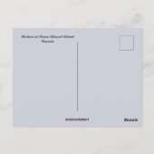Activiteiten in de omgeving van Prince Edward Isla Briefkaart (Achterkant)