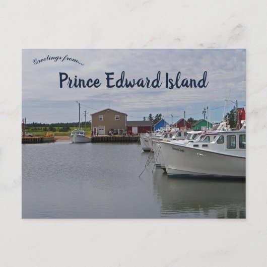 Activiteiten in de omgeving van Prince Edward Isla Briefkaart (Voorkant)