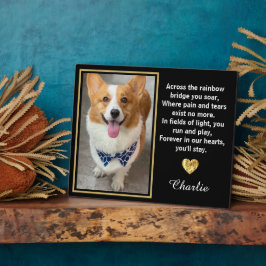 Activiteiten in de omgeving van Rainbow Bridge Gol Fotoplaat