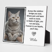 Activiteiten in de omgeving van Rainbow Bridge Sil Fotoplaat (Zijkant)