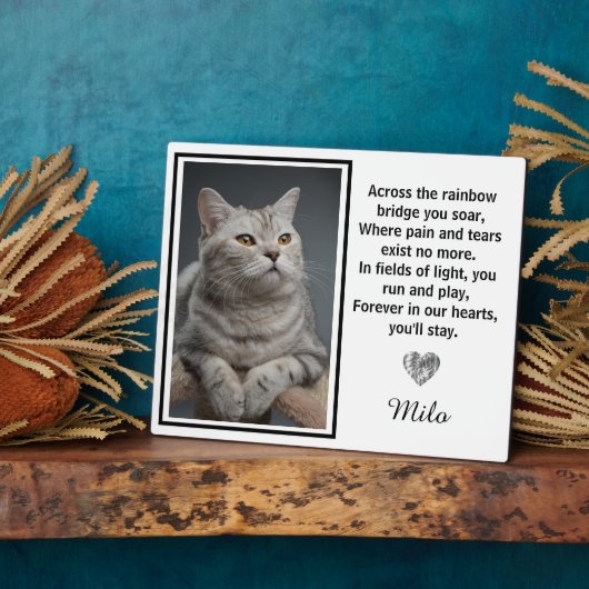 Activiteiten in de omgeving van Rainbow Bridge Sil Fotoplaat (Zijkant)