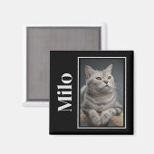 Activiteiten in de omgeving van Rainbow Bridge Sil Magneet (Voorkant / Achterkant)