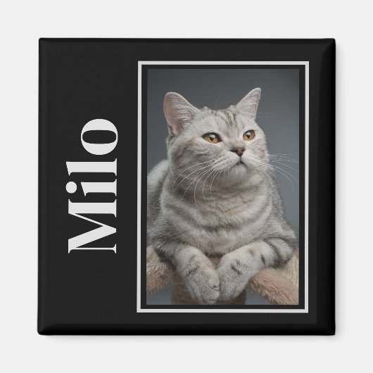 Activiteiten in de omgeving van Rainbow Bridge Sil Magneet (Voorkant)