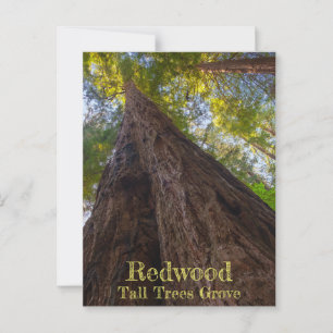 Activiteiten in de omgeving van Redwood National P Briefkaart