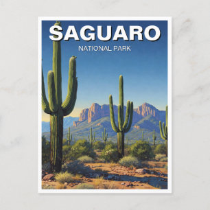 Activiteiten in de omgeving van Saguaro National P Briefkaart
