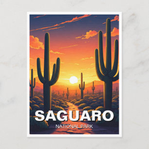 Activiteiten in de omgeving van Saguaro National P Briefkaart