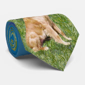 Activiteiten in de omgeving van Saint Francis / Go Stropdas (Opgerold)