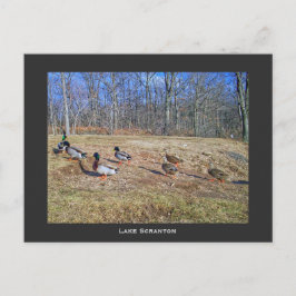 Activiteiten in de omgeving van Scranton PA-Lake S Briefkaart
