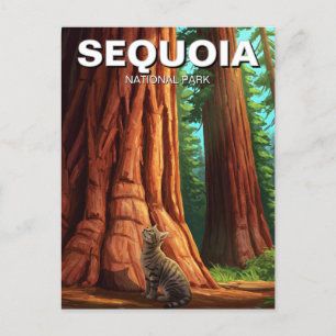 Activiteiten in de omgeving van Sequoia National P Briefkaart