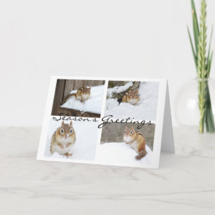 Activiteiten in de omgeving van Snowy Chipmunk Col Feestdagen Kaart