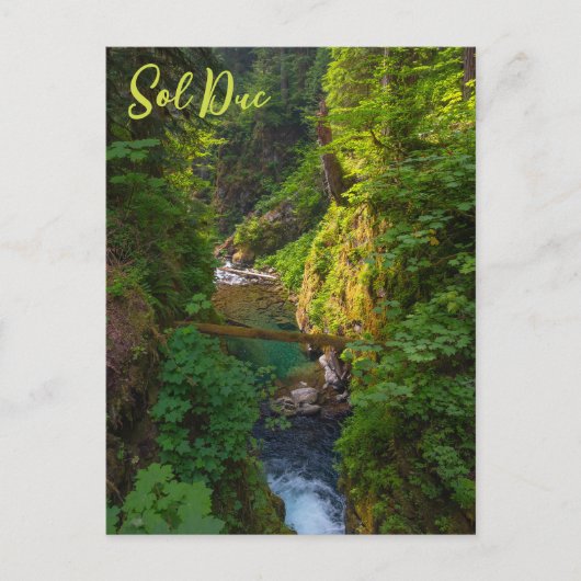Activiteiten in de omgeving van Sol Duc River Olym Briefkaart (Voorkant)