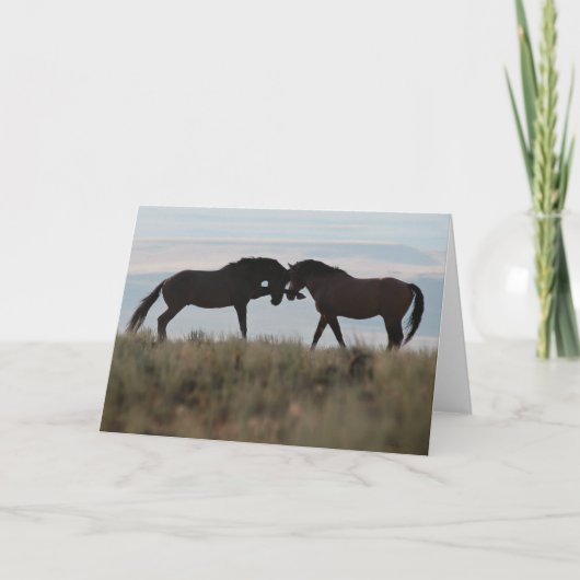 Activiteiten in de omgeving van Son & Sire Mustang Kaart (Voorkant)