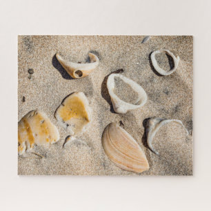 Activiteiten in de omgeving van South Padre Island Legpuzzel