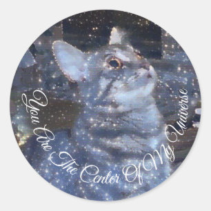 Activiteiten in de omgeving van Sparkly Cat Digita Ronde Sticker