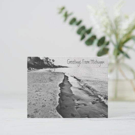 Activiteiten in de omgeving van Spring Lake Michig Briefkaart (Staand voorkant)