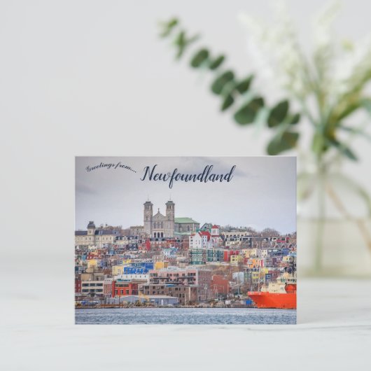 Activiteiten in de omgeving van St. John's Newfoun Briefkaart (Staand voorkant)