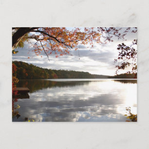 Activiteiten in de omgeving van Sunset Lake, Holly Briefkaart
